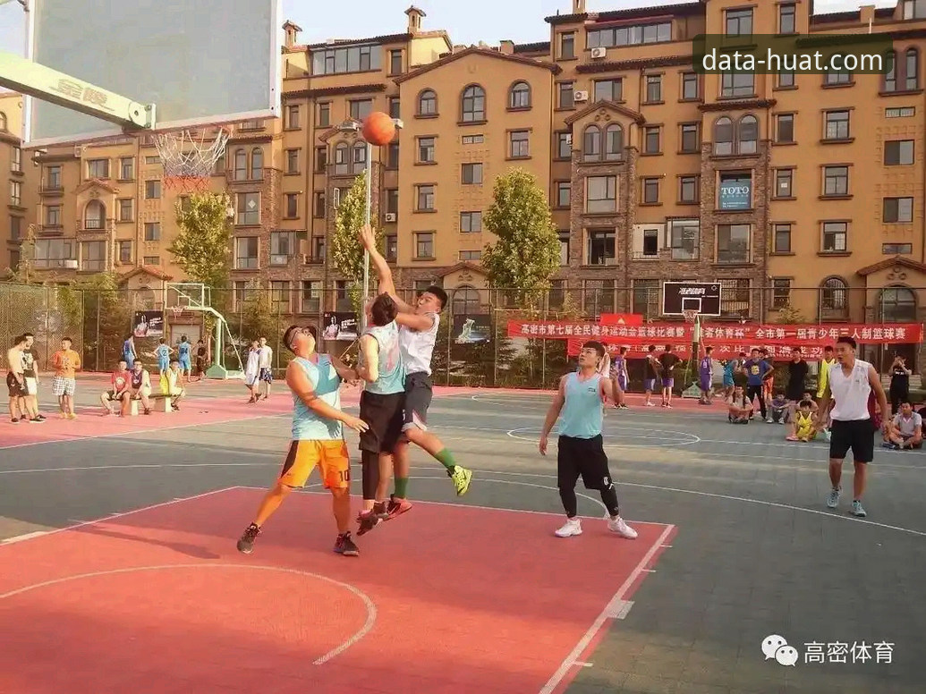 华体育登录 华体育登录深度分析:从新手到高手的体育数据实战指南